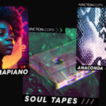3 New Sample Packs @ Function Loops: Amapiano & Hip Hop