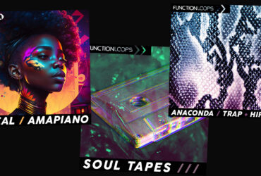 3 New Sample Packs @ Function Loops: Amapiano & Hip Hop